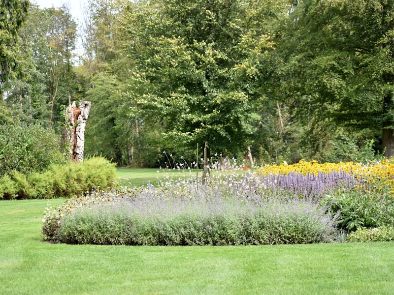 A neat, freshly mown lawn