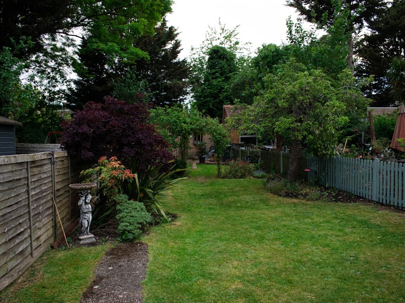 Trimmed hedges and a tidy garden