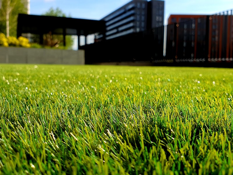 Well-kept lawn and borders