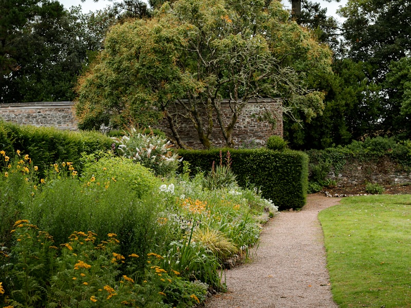 Tidy back garden after maintenance